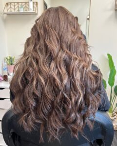 brunette hair highlights by emily siren stylist VA beach